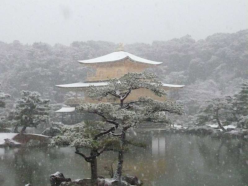 tempio kinkakuji con la neve