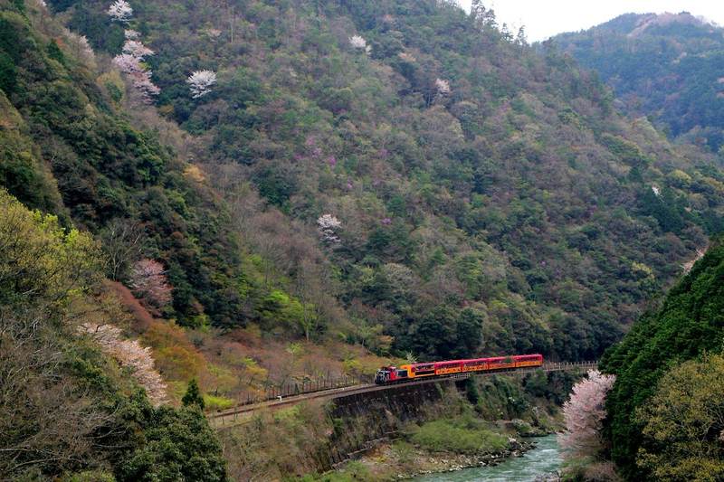sagano scenic railway treno arashiyama kyoto
