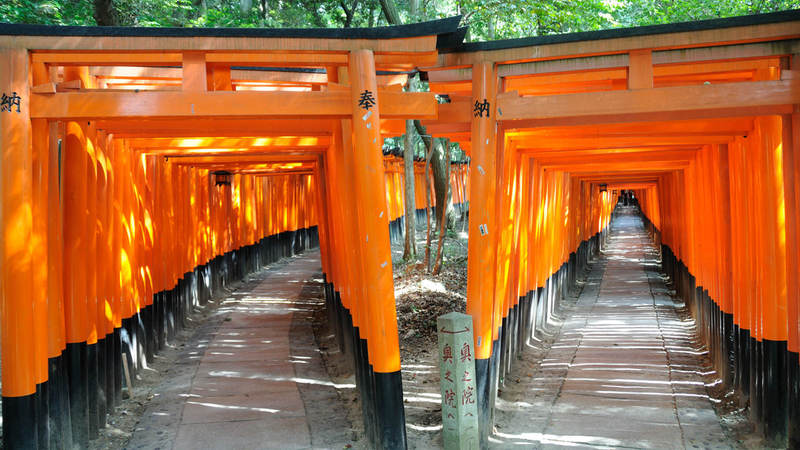 inizio dei sentieri sotto i torii al fushimi inari taisha kyoto