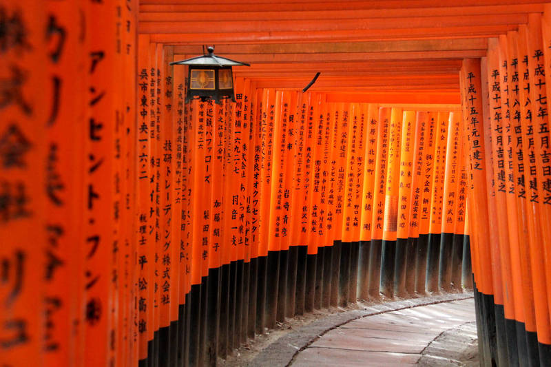 sotto i torii fushimi inari taisha kyoto