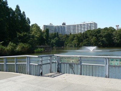 parco di inokashira ponte sul laghetto